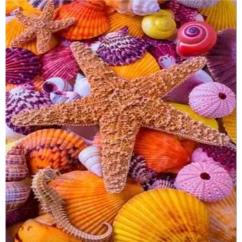 Diamantové malování Gaira® Diamantové malování Hvězdice D0984