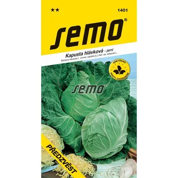 Semeno Předzvěst semínka