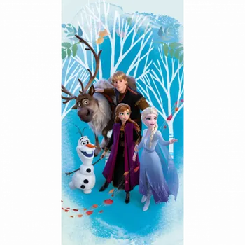 Stanex Dětská froté osuška Frozen