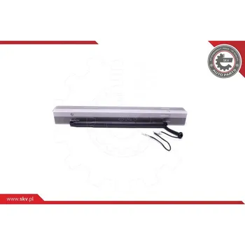 Elektromotor, zadní dveře ESEN SKV 52SKV924