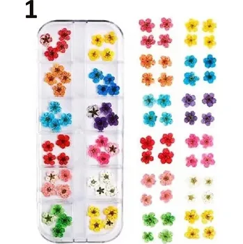 Sada sušených a lisovaných květin do pryskyřice v krabičce Druh: 1