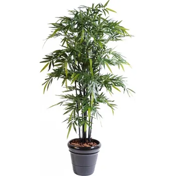 umělá květina Luxusní umělý BAMBUS BLACK NATURAL NC, 210cm