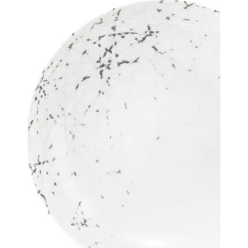 Talíř Hluboký talíř 21 cm LIBERTY BRACE, stříbrná, Seltmann Weiden