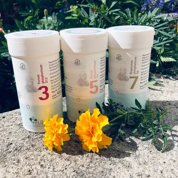 Homeopatikum Homöopathisches Laboratorium A Pflüger Schüsslerovy soli proti stresu 3x 400 tablet