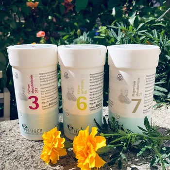 Homeopatikum Schüsslerovy soli imunitní systém 3x400 tablet