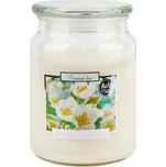 Bispol Aura Maxi vonná svíčka ve skle…