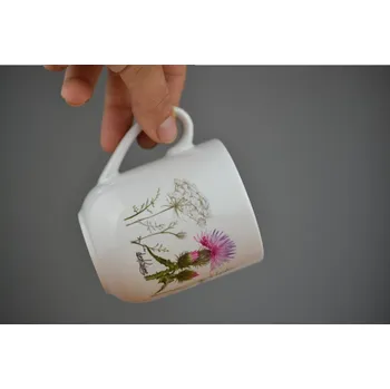 Buclák bodlák - Divokrásno 0001199