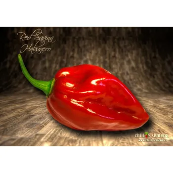 Semeno chilli-semena chilli-semena Red Savina Habanero