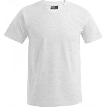 Pánská móda Pánské pevné prémiové triko Promodoro 100% bavlna Barva: šedá popelavá melír, Velikost: 3XL E3000