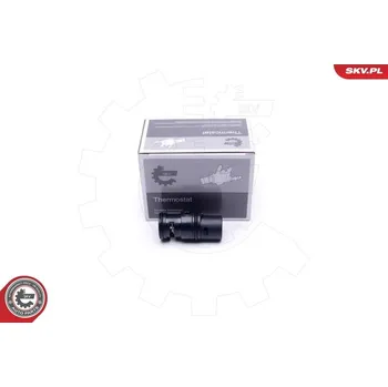 Těsnění motoru Termostat, chladivo ESEN SKV 20SKV153