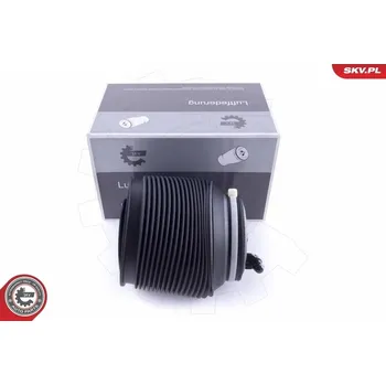 Vzduchová pružina, podvozek ESEN SKV 58SKV009