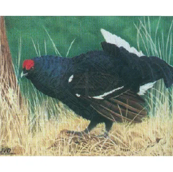 Příslušenství pro luk a kuši Black Flash Terč na lukostřelbu Tetřev