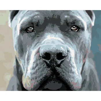 Diamondi Diamantové malování - CANE CORSO Rozměr: 40x50 cm, Rámování: bez rámu a bez vypnutí plátna