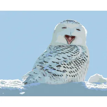 Hračka Diamondi Diamantové malování - ZÍVAJÍCÍ BÍLÁ SOVA Rozměr: 40x50 cm, Rámování: bez rámu a bez vypnutí plátna