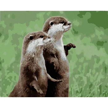 Hračka Diamondi Diamantové malování - DVĚ VYDRY Rozměr: 40x50 cm, Rámování: bez rámu a bez vypnutí plátna