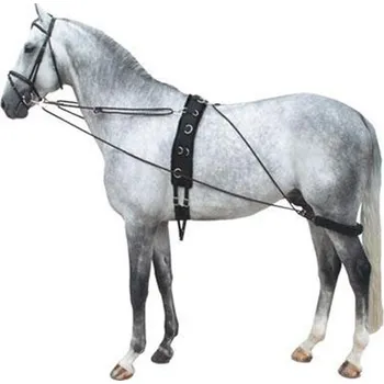 Pessoa postroj Premiere