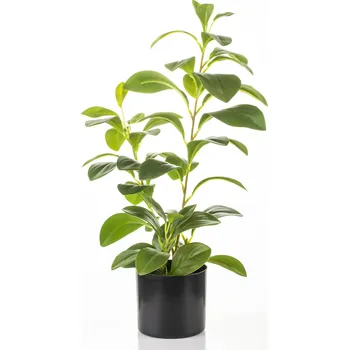 umělá květina Umělá dekorativní rostlina ficus 46 cm