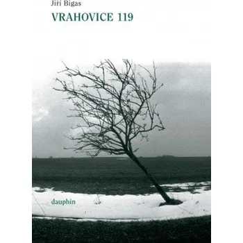 Kniha Vrahovice 119