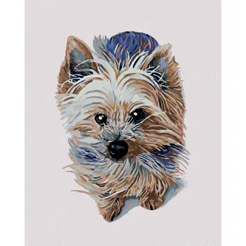 Diamondi Diamantové malování - MALÝ JORKŠÍR Rozměr: 40x50 cm, Rámování: bez rámu a bez vypnutí plátna