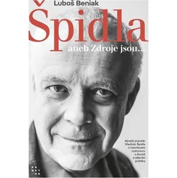 Umění Špidla aneb Zdroje jsou...