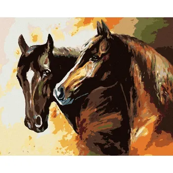 Diamondi Diamantové malování - HNĚDÍ MALOVÁNÍ KONĚ Rozměr: 40x50 cm, Rámování: bez rámu a bez vypnutí plátna