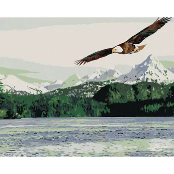 Diamondi Diamantové malování - MOŘSKÝ OREL Rozměr: 40x50 cm, Rámování: bez rámu a bez vypnutí plátna