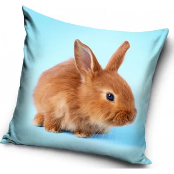 Dekorativní polštářek Povlak na polštář Malý králíček 40x40cm (Dekorační povlak na polštářek s králíkem)