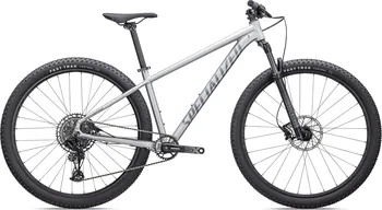 Horské kolo Specialized Rockhopper Expert 29" Satin Silver Dust/Black Holographic 2022