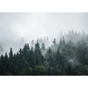 Fototapeta Malvis IS88331/288 288 x 200 cm