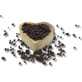 FITBOY Slunečnice v hořké čokoládě 250g 250 g