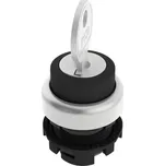 Pizzato Elettrica E21SC2ACA19AA E21SC2ACA19AA klíčový spínač černá 1 x 45 ° 1 ks