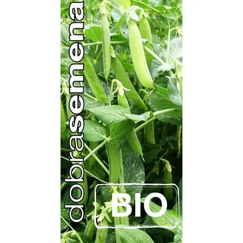 Semeno DOBRÁ SEMENA BIO HRÁCH RANÝ ZÁZRAK Z KELVEDONU 20 G