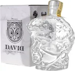 David Luxury Gin 0,7 l 40 % dárkové…