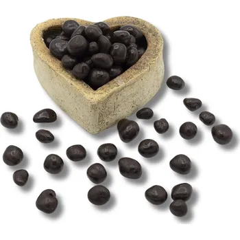 Sušené ovoce FITBOY Meruňky v hořké čokoládě 250g 250g