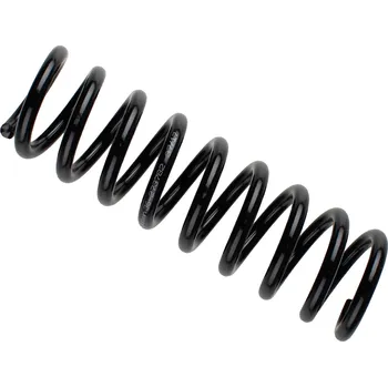 Auto-moto Pružina podvozku, , 2103211504, 2103213104, A2103211504, A2103213104, BILSTEIN, 36-273782