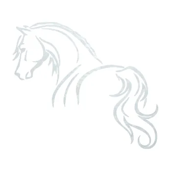 Samolepící dekorace SAMOLEPKA Kůň 104 levá (51 - 3D karbon bílý) NA AUTO, NÁLEPKA, FÓLIE, POLEP, TUNING, VLASTNÍ TEXT, TISK, AUTOSAMOLEPKY.cz, POLEPY, OBRÁZEK, LOGO, SAMOLEPKY