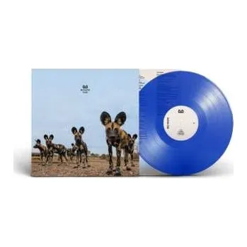 Zahraniční hudba LP Balthazar: Fever (ltd. Transparent Blue Col. Lp) 2024