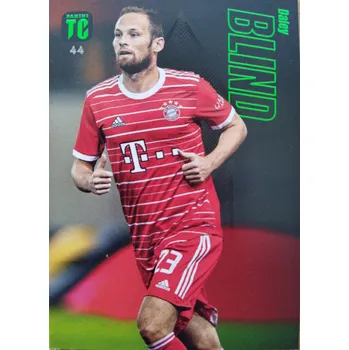 Karetní hra Daley Blind