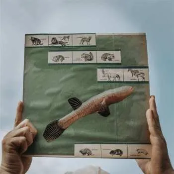 Zahraniční hudba LP Cotton Jones: The River Strumming LTD 2023 180g 15th Anniversary Vinyl