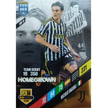 Karetní hra Nicolo Fagioli