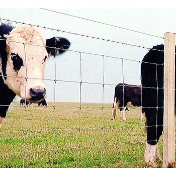 Pletivo Ohradové svařované pozinkované pletivo výšky 120 cm, počet drátů 9, šířka oka 150 mm