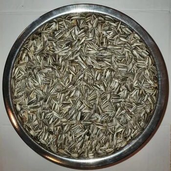 Krmivo pro ptáka Slunečnice žíhaná 1 kg