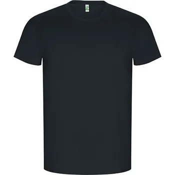 Pánské tričko Roly Golden Pánské tričko z organické bavlny CA6690 Ebony 231 3XL