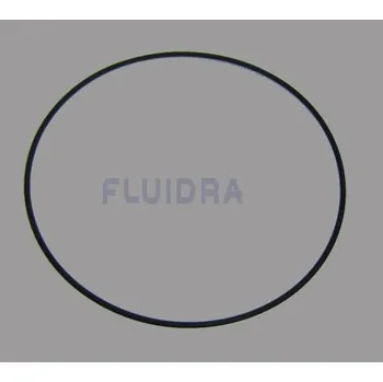 Bazénová filtrace Pooltechnika Těsnění torické bočního víka filtru PTK