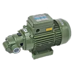 Zubové čerpadlo SAER CF (by pass), 0,75 kW, 400 V, IE3