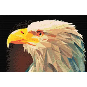 Diamantové malování Diamantové malování - Orel se žlutým zobákem Velikost: 40x60cm, Rámování: Pouze srolované plátno, Diamanty: Čtvercové