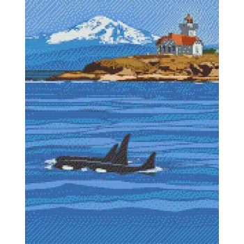 Diamantové malování Diamantové malování - Kosatky Velikost: 40x50cm, Rámování: Pouze srolované plátno, Diamanty: Čtvercové