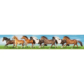 Fototapeta DIMEX KI-350-111 350 x 60 cm