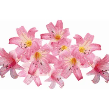 Diamantové malování Diamantové malování - Růžové lilie 2 Velikost: 40x60cm, Rámování: Pouze srolované plátno, Diamanty: Kulaté