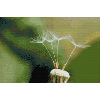 Diamantové malování Diamantové malování - Pampeliška Velikost: 40x60cm, Rámování: Pouze srolované plátno, Diamanty: Čtvercové